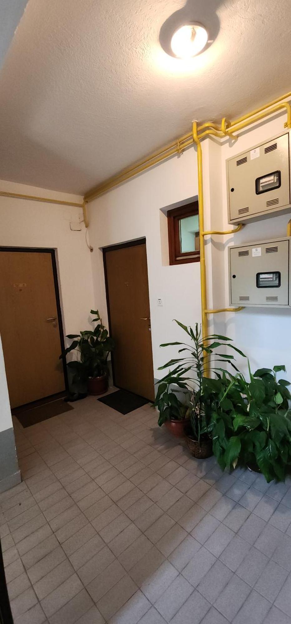 Zen Apartman
